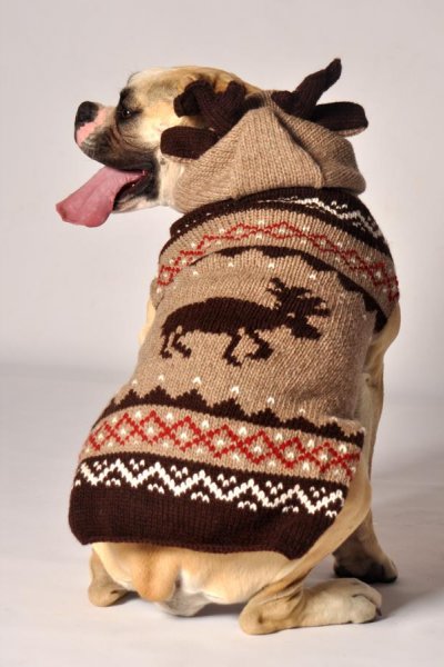 Chilly Dog Moosey Hoodie Dog Sweater