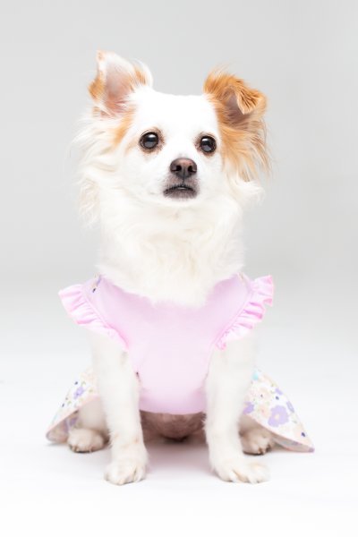 Lilac Cross Back Dress by Dogo Pet