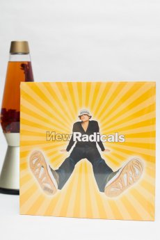 New Radicals - Maybe You've Been Brainwashed Too Vinyl Record