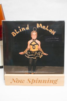 Blind Melon - Self Titled LP Vinyl