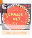 The Jesus And Mary Chain - Damage And Joy Deluxe Edition LP Vinyl