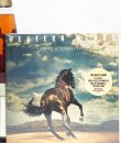 Bruce Springsteen - Western Stars Vinyl